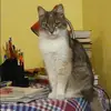 Отзыв от Кира Селиванова